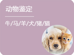 合肥动物鉴定